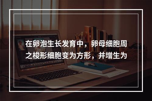 在卵泡生长发育中，卵母细胞周之梭形细胞变为方形，并增生为