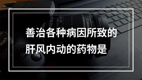 善治各种病因所致的肝风内动的药物是