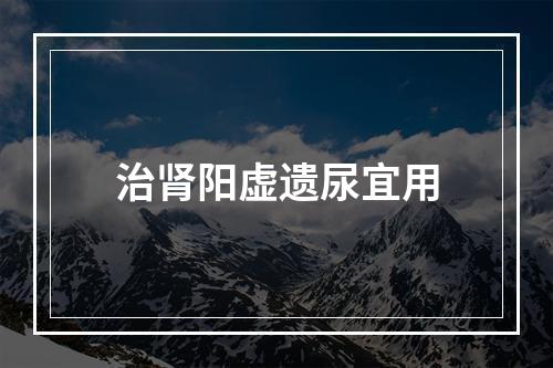 治肾阳虚遗尿宜用