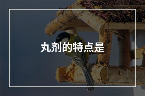 丸剂的特点是