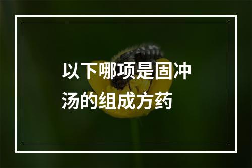 以下哪项是固冲汤的组成方药