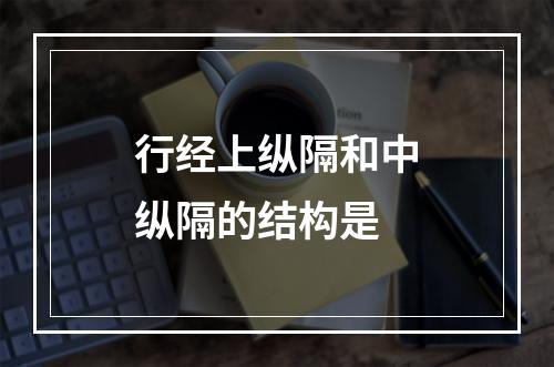 行经上纵隔和中纵隔的结构是