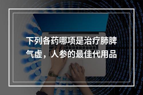 下列各药哪项是治疗肺脾气虚，人参的最佳代用品