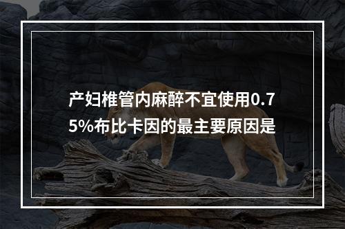 产妇椎管内麻醉不宜使用0.75%布比卡因的最主要原因是