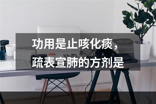 功用是止咳化痰，疏表宣肺的方剂是