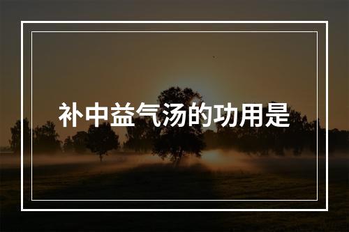 补中益气汤的功用是