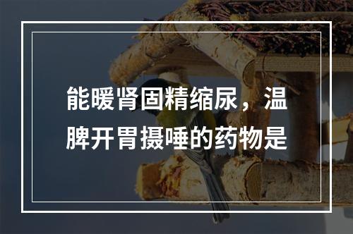 能暖肾固精缩尿，温脾开胃摄唾的药物是