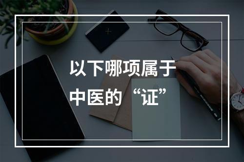 以下哪项属于中医的“证”