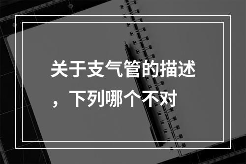 关于支气管的描述，下列哪个不对