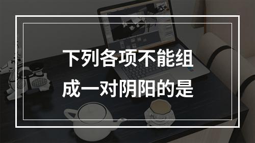 下列各项不能组成一对阴阳的是