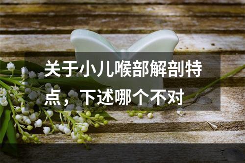 关于小儿喉部解剖特点，下述哪个不对