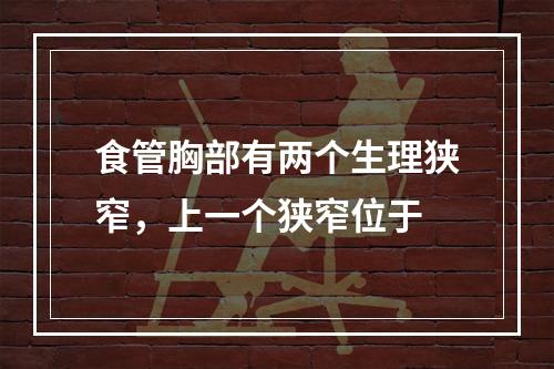 食管胸部有两个生理狭窄，上一个狭窄位于