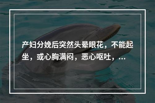 产妇分娩后突然头晕眼花，不能起坐，或心胸满闷，恶心呕吐，或痰