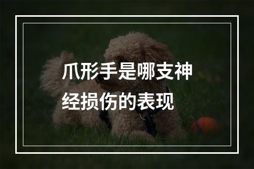 爪形手是哪支神经损伤的表现