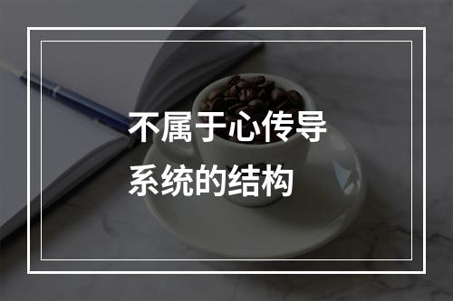 不属于心传导系统的结构