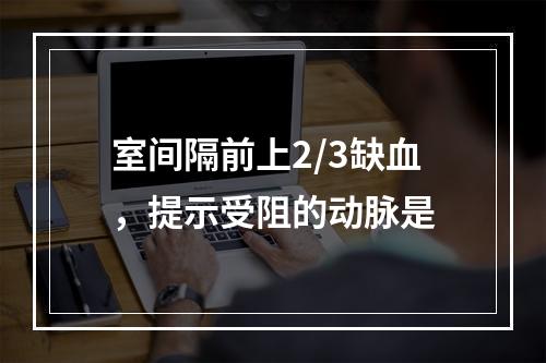 室间隔前上2/3缺血，提示受阻的动脉是