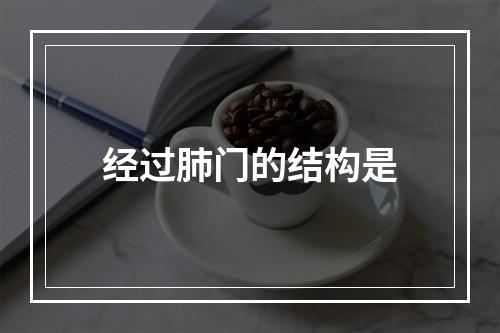 经过肺门的结构是