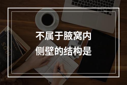 不属于腋窝内侧壁的结构是