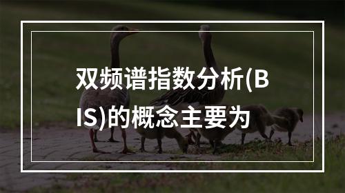 双频谱指数分析(BIS)的概念主要为