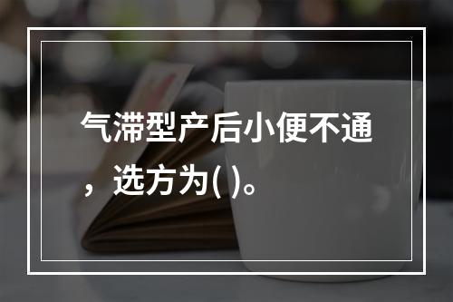 气滞型产后小便不通，选方为( )。