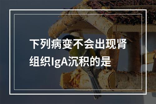 下列病变不会出现肾组织IgA沉积的是