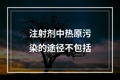 注射剂中热原污染的途径不包括