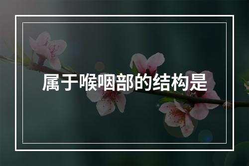 属于喉咽部的结构是