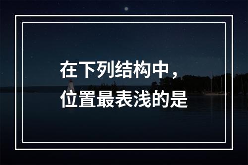 在下列结构中，位置最表浅的是