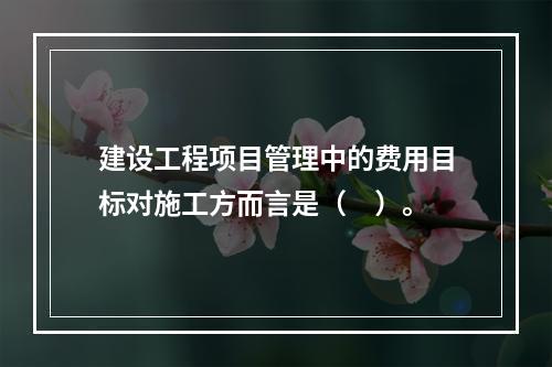 建设工程项目管理中的费用目标对施工方而言是（　）。