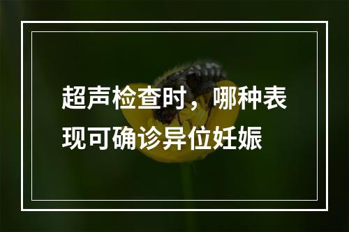 超声检查时，哪种表现可确诊异位妊娠