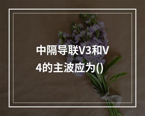 中隔导联V3和V4的主波应为()