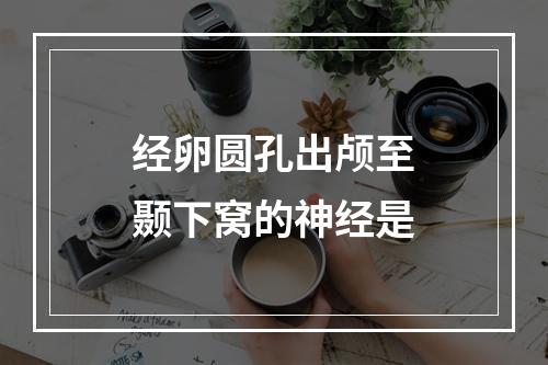 经卵圆孔出颅至颞下窝的神经是