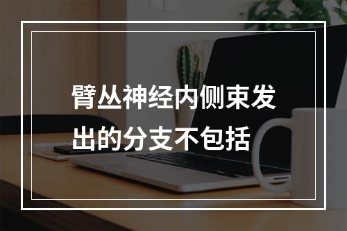 臂丛神经内侧束发出的分支不包括