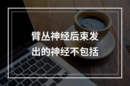 臂丛神经后束发出的神经不包括