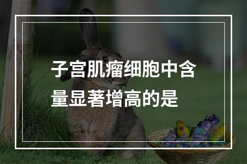 子宫肌瘤细胞中含量显著增高的是