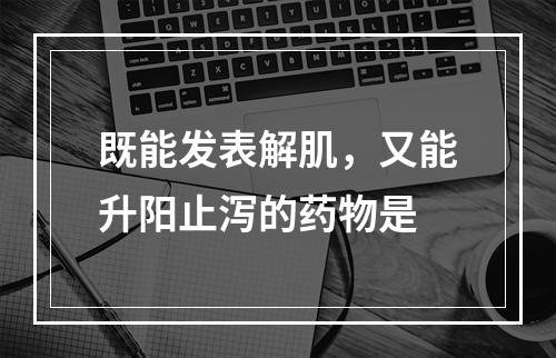 既能发表解肌，又能升阳止泻的药物是