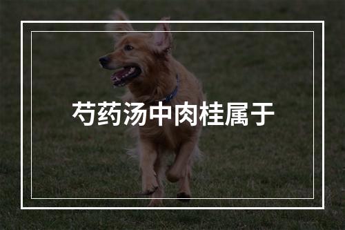 芍药汤中肉桂属于