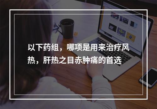 以下药组，哪项是用来治疗风热，肝热之目赤肿痛的首选