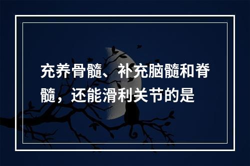 充养骨髓、补充脑髓和脊髓，还能滑利关节的是