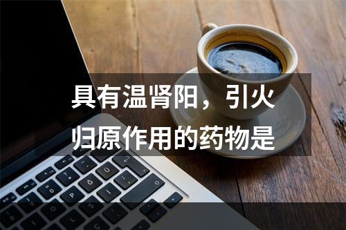 具有温肾阳，引火归原作用的药物是