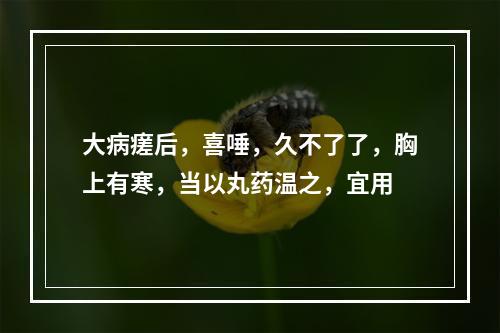 大病瘥后，喜唾，久不了了，胸上有寒，当以丸药温之，宜用