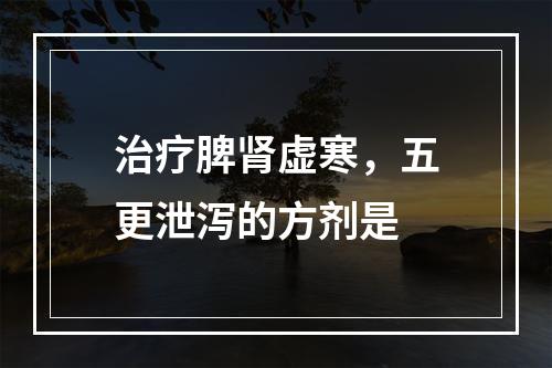 治疗脾肾虚寒，五更泄泻的方剂是