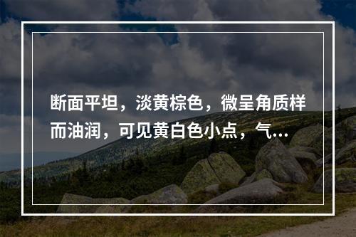 断面平坦，淡黄棕色，微呈角质样而油润，可见黄白色小点，气微，