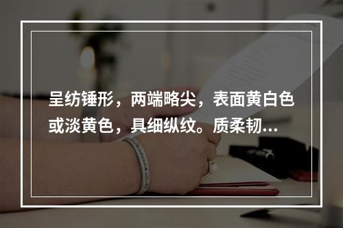 呈纺锤形，两端略尖，表面黄白色或淡黄色，具细纵纹。质柔韧，断