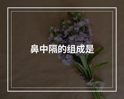 鼻中隔的组成是