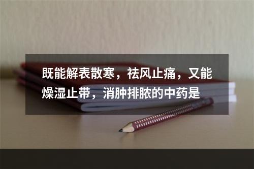 既能解表散寒，祛风止痛，又能燥湿止带，消肿排脓的中药是