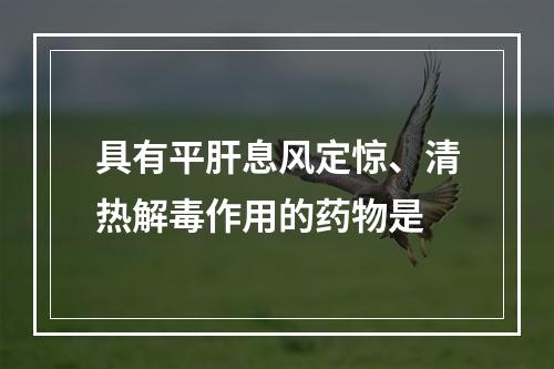 具有平肝息风定惊、清热解毒作用的药物是