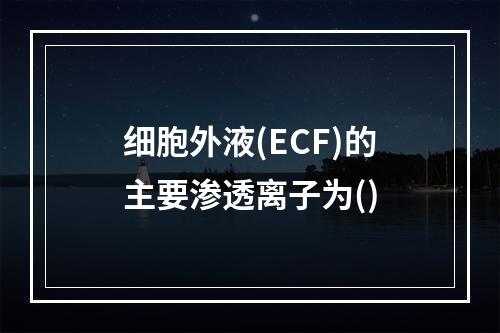 细胞外液(ECF)的主要渗透离子为()