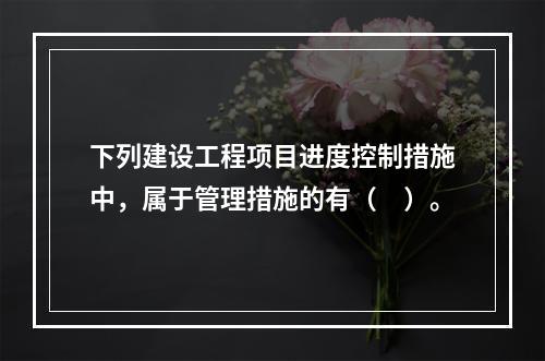 下列建设工程项目进度控制措施中，属于管理措施的有（　）。