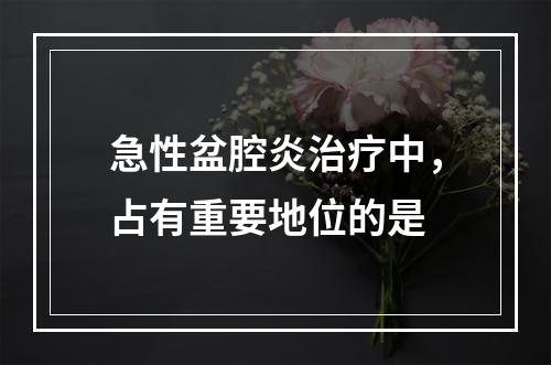 急性盆腔炎治疗中，占有重要地位的是